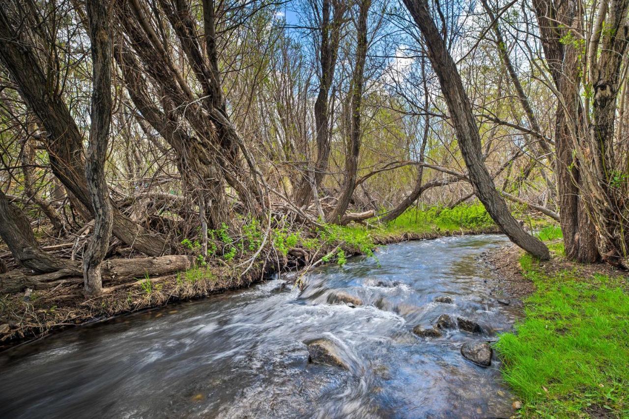 Mammoth Lakes Nature Escape Hot Tub Access! Luaran gambar